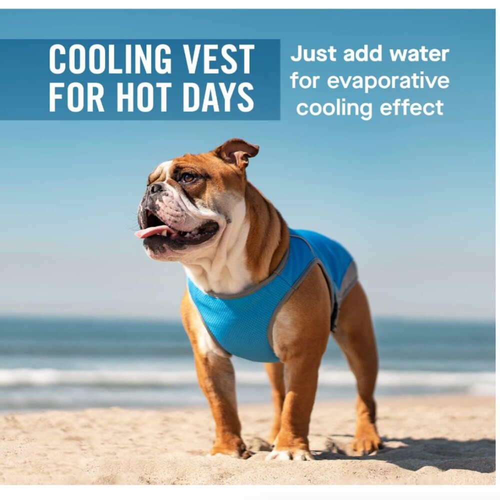 Dog Vest Canada Pooch Cooling Mesh Reflective 12 Inch Back Length Brand New Aqua